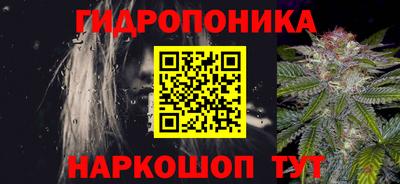 дживик Лесосибирск