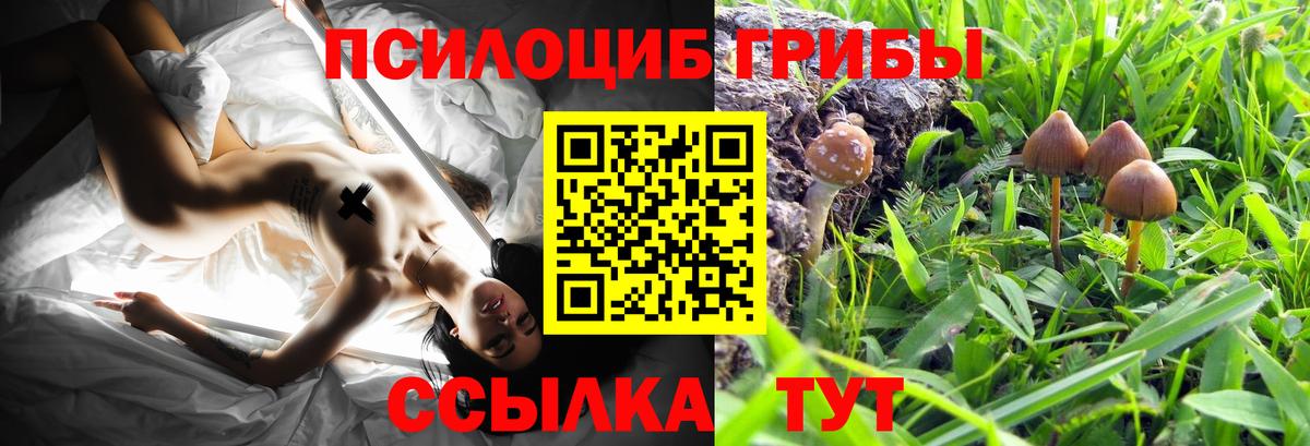 Галлюциногенные грибы GOLDEN TEACHER Ивантеевка